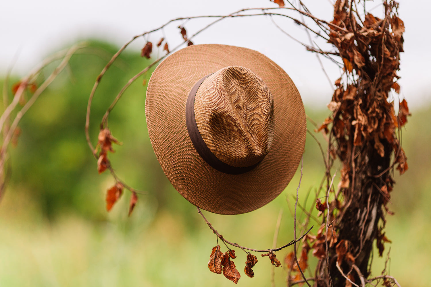 SOMBREROS PANAMÁ