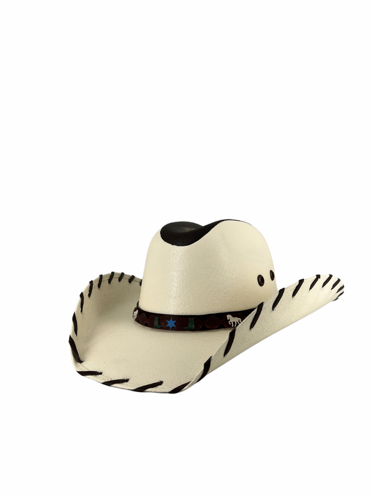 CHIHUAHUA CON JARIPEO NIÑO