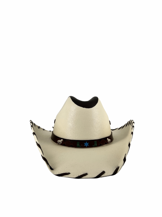 CHIHUAHUA CON JARIPEO NIÑO